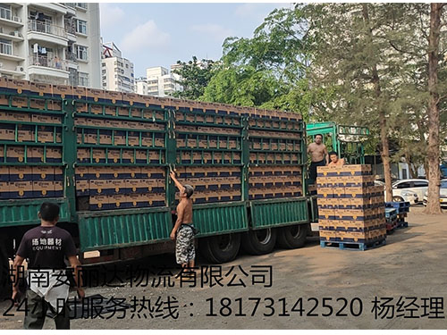 &#20048;&#40060;